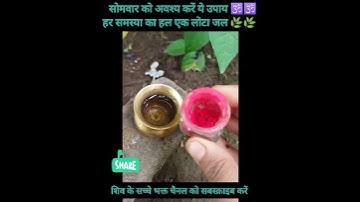 सोमवार को अवश्य करे ये उपाय।लाल चंदन वाला उपाय।बेल की जड़ मैं उपाय। #shorts#pradeepmishrajikeupay
