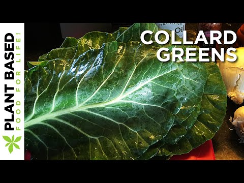 a-plant-based-collard-greens-recipe-you're-going-to-love-❤️