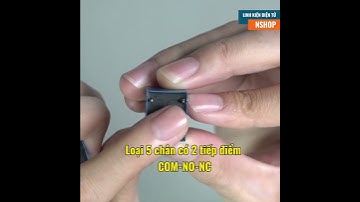 Relay 12VDC 10A (FRH4 | DG2T)#Shorts