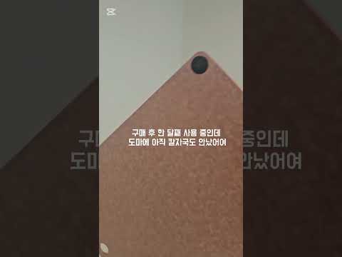 에피큐리언도마 대사이즈