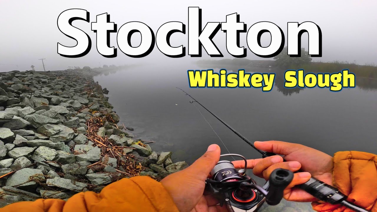 California Delta Bank Fishing