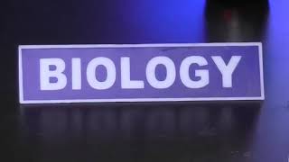 Composite lab