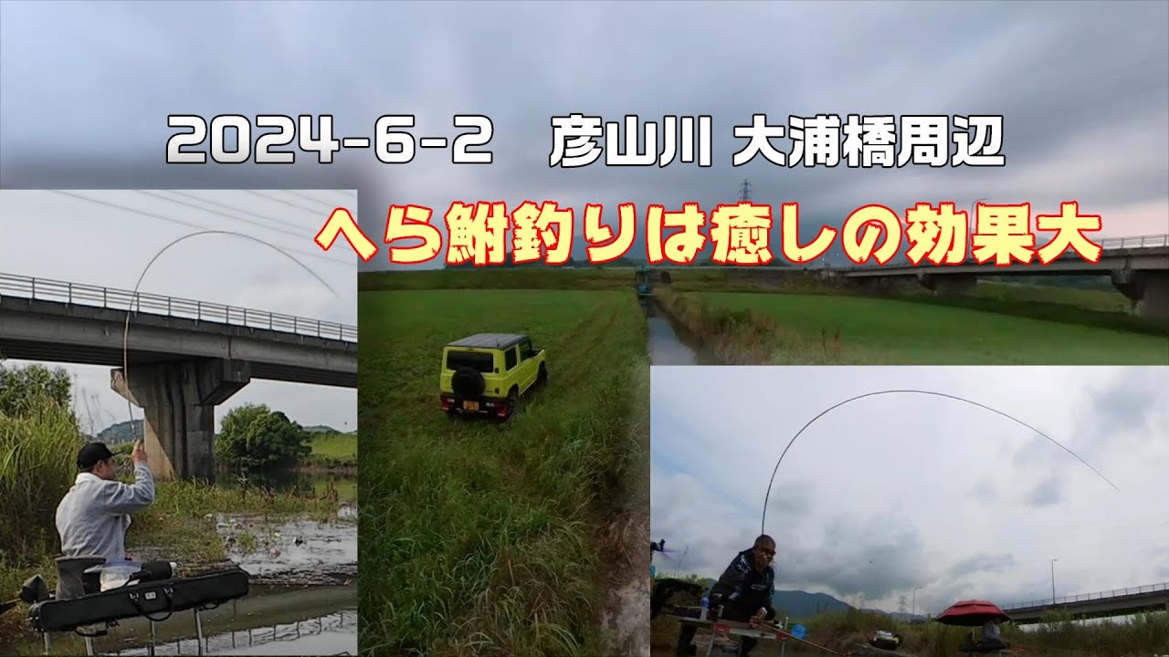 【2024】彦山川　岡森堰閉まって3日目　釣りは癒やしの王様だわ へら鮒釣り