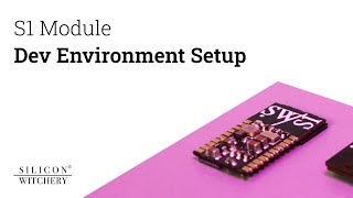 S1 Dev Environment Setup