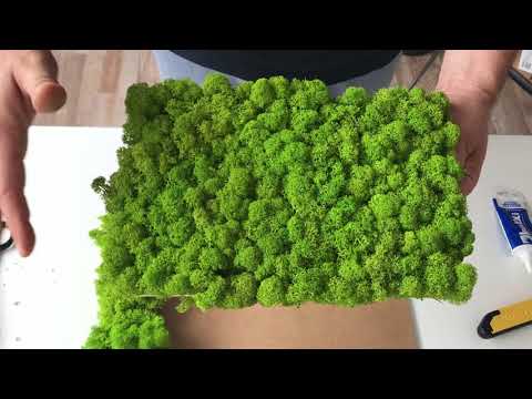 Video: Giardini verticali (foto). Come realizzare un giardino verticale con le tue mani?