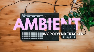 Ambient Creation - With the Polyend Tracker