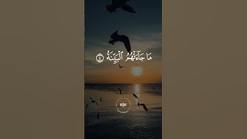 "سورة البينة 📖 بصوت خاشع للشيخ ماهر المعيقلي"