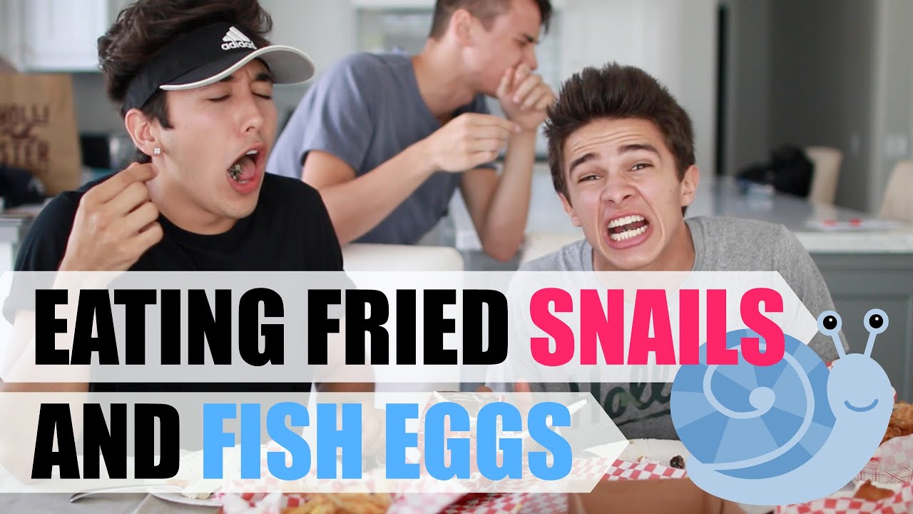 Eating Disgusting Fair Food | Brent Rivera musically songs download