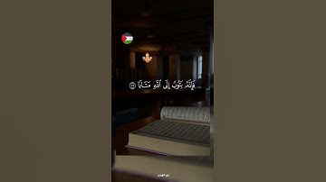 ✨️...و أصلح لي شأني كله  ! 🇵🇸🍉#قرآن #اكسبلور #تلاوة_خاشعة #islamic #المصحف #فلسطين #غزة #palestine