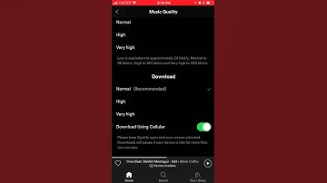 HOW TO DOWNLOAD VIA CELLULAR IN SPOTIFY?