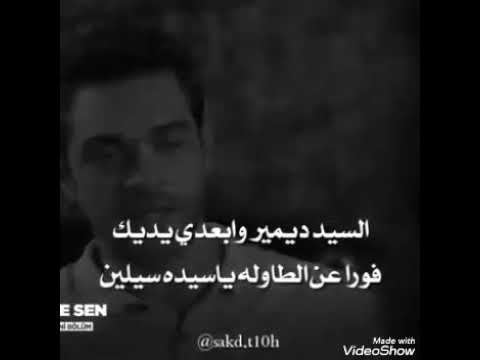 سيلين ديمير 