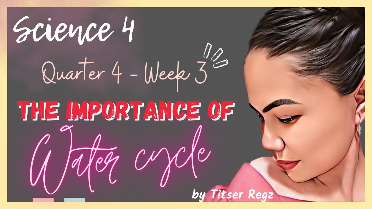 Q4 | Science 4 | Week 3 - The Importance of Water Cycle - YouTube