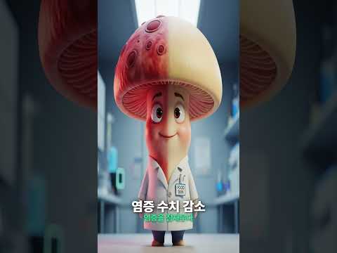 🍄버섯 피부 노화 막는 매일 버섯 한 줌의 놀라운 효과 #피부노화방지