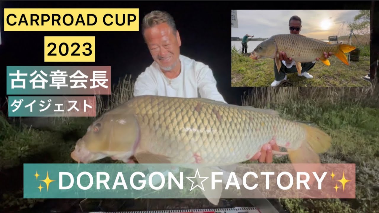 ✨ DORAGON☆FACTORY✨古谷章会長ダイジェスト‼️2023CARPROAD CUP#carpfishing #鯉釣り #fishing
