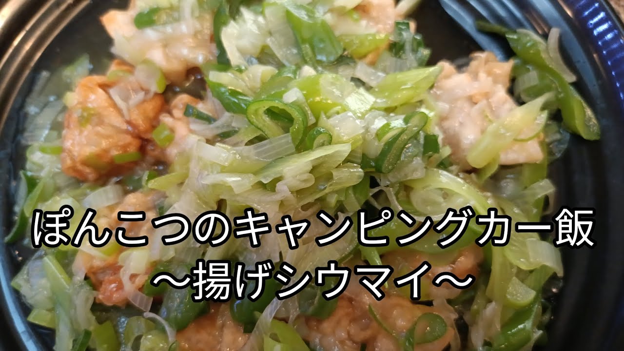 ぽんこつのキャンピングカー飯〜揚げシウマイ〜