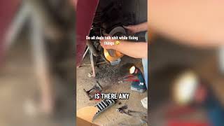 Average Dad Crash Out