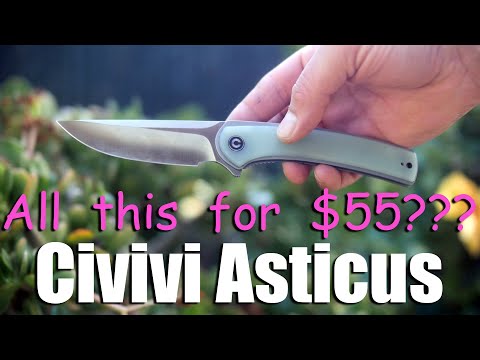 Is the $55 Civivi Asticus EDC the best quarantine survival knife?