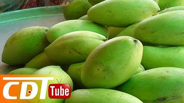 Mẹo nhận biết xoài chín tự nhiên không hóa chất trong tích tắc | CDT NEWS