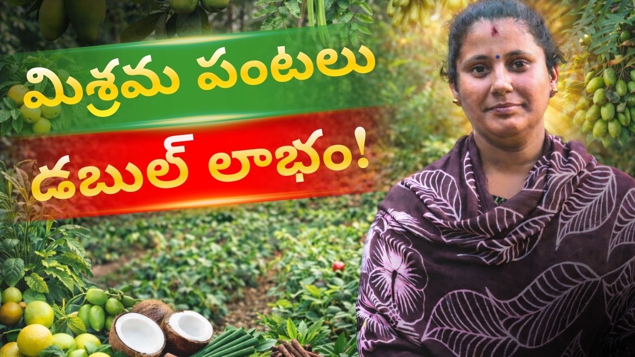 కరోనా తర్వాత వ్యవసాయంలో విజయం! | కేవలం 1 సంవత్సరంలో 2500 కొబ్బరికాయల దిగుబడి | డా. సాయిల్