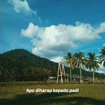 STORY WA LAGU DAERAH JAMBI || APO DI HARAP PADO KAMI 🎧