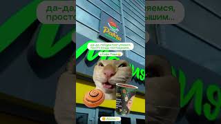 Когда говоришь: «Да мы просто прогуляемся, подышим свежим воздухом…»