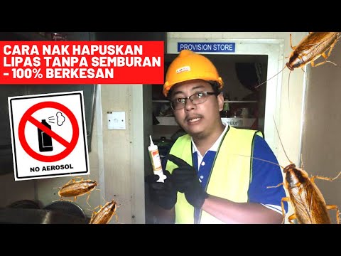 CARA HAPUSKAN LIPAS TANPA SEMBURAN  - 100% BERKESAN