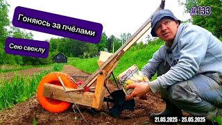 видео: Сделал сеялку точного высева, сею свеклу. Гоняюсь за пчелами. картинка: Сделал сеялку точного высева, сею свеклу. Гоняюсь за пчелами.