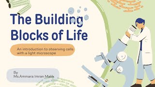Building Blocks of cells |part 1| Cambridge O-levels | grade 6