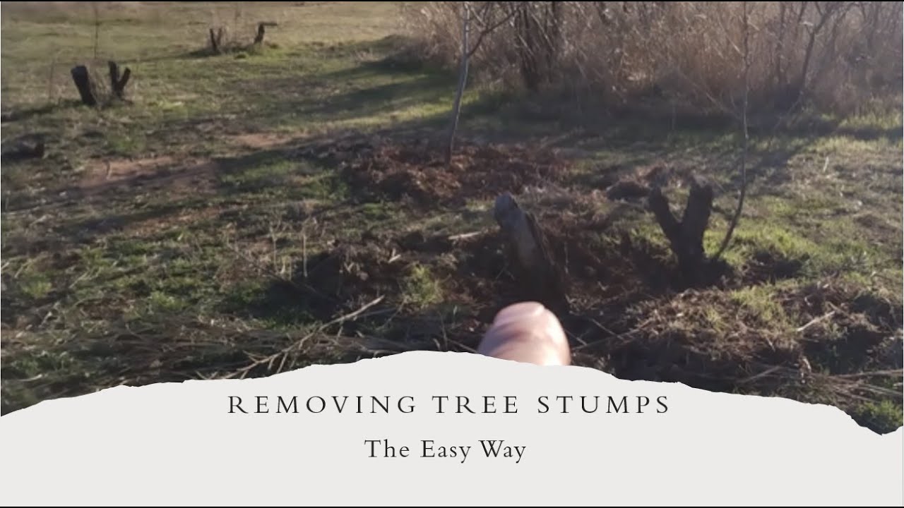 Removing Tree Stumps The Easy Way - YouTube
