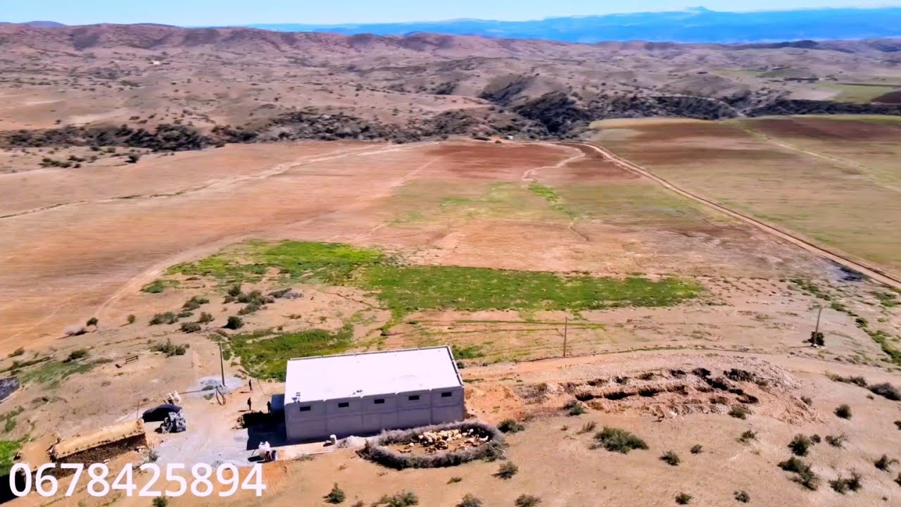 ارض فلاحية للبيع 41 هكتار محفظة على ضفاف واد ام الربيع الماء والكهرباء تمن البيع 260 مليون