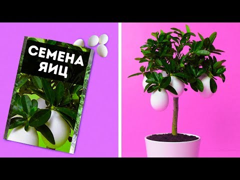 15 СМЕШНЫХ СПОСОБОВ РАЗЫГРАТЬ ДРУЗЕЙ