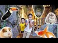 예준이와 아빠의 동물원 체험놀이 먹이주기 물고기 애완동물 실내 놀이터 Zoo for Kids Activity