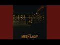 Mesh La2y 