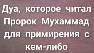 Дуа, которое читал Пророк Мухаммад для примирения с кем-либо