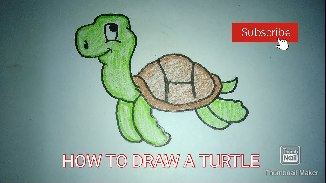 HOW TO DRAW A TURTLE EASY FOR BEGINNERS - YouTube