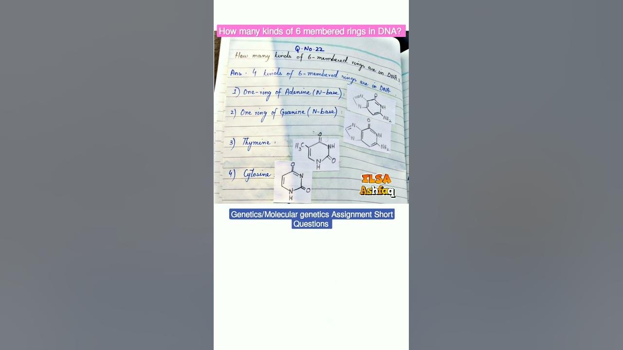 how-many-kinds-of-6-membered-rings-are-in-dna-molecular-genetics