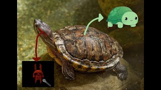 Pregnant Vedal @AlterLynx