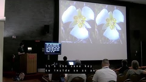 Kevin Hoffman: Optimizing Responsive Images in WordPress