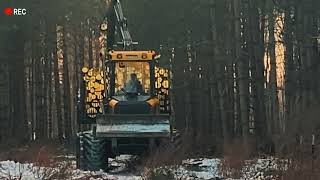 Buffalo Forwarder In Wisconsin