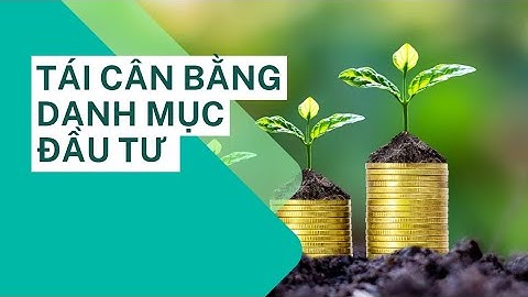 Phương pháp tái cân bằng danh mục đầu tư