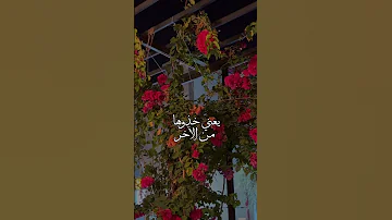 الله ياكثر حبي له جديد شيلات ياسر الشهراني على جوي 