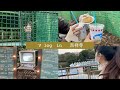 V log in 吉祥寺