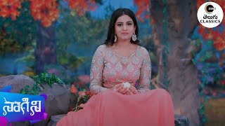 Shivani's Worst Fate  | Naagini | Telugu Tv Serial | Best TV| Zee Telugu Classics