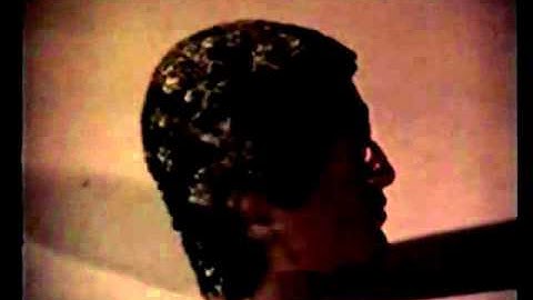 Robyn Hitchcock - The Man With The Lightbulb Head