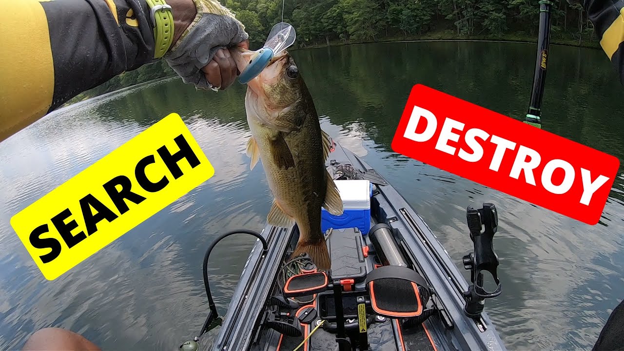 Deep Crankbait Kayak Fishing for Active Schooling Bass {Piney Run Lake