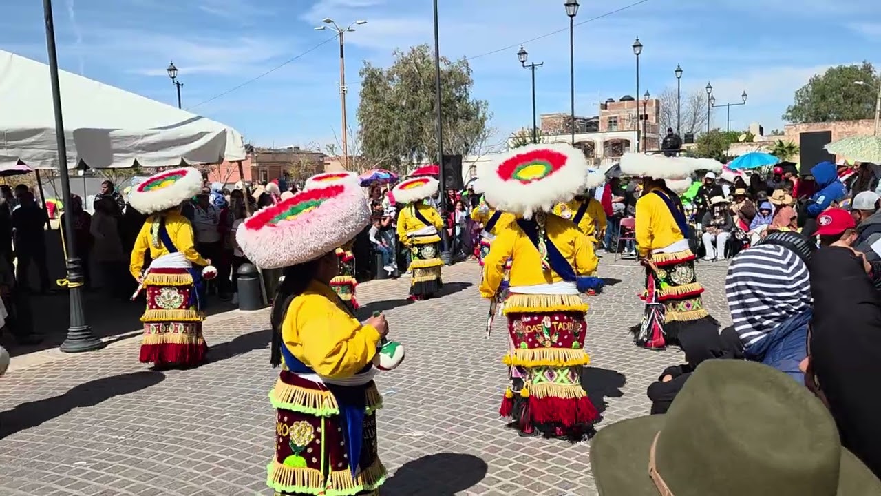 Danza San Judas Tadeo en el 2do Concurso de Danzas en Trancoso Zacatecas con el son el teoilusion.