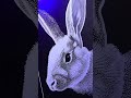 DIY LED Acrylic Engraving! | Making a Light-Up Rabbit Lamp