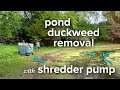 Pond duckweed removal with shredder pump