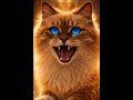 Je suis le Sacré de Birmanie #SacréDeBirmanie #Chat #Cinematic #ArtIA #Mystique
