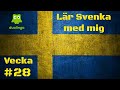 Duolingo Week 28 | [SE / EN] Lär Svenska Med Mig / Learn Swedish With Me.